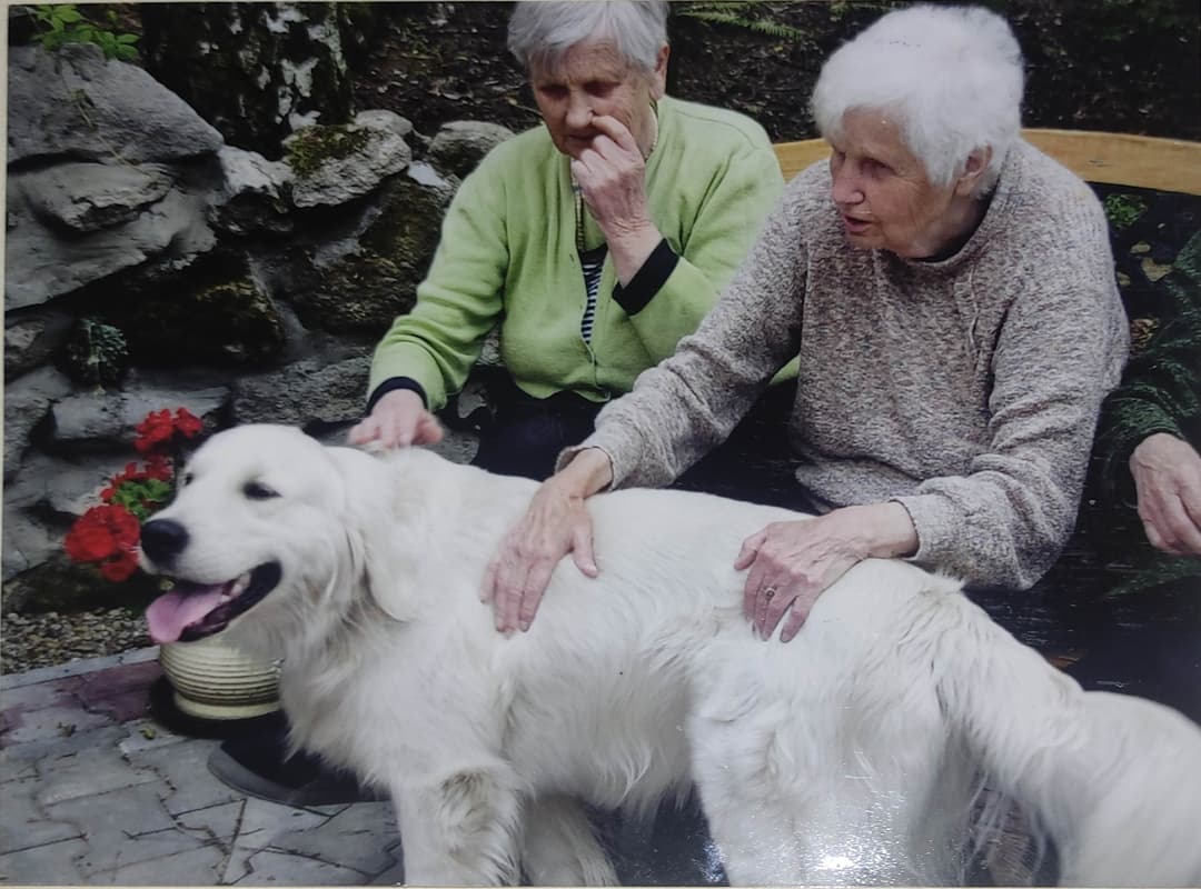 Zdjęcie opisujące Pacjenci ZOL podczas dogoterapii.