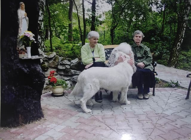 Zdjęcie 3 galerii z wydarzenia Pacjenci ZOL podczas dogoterapii.