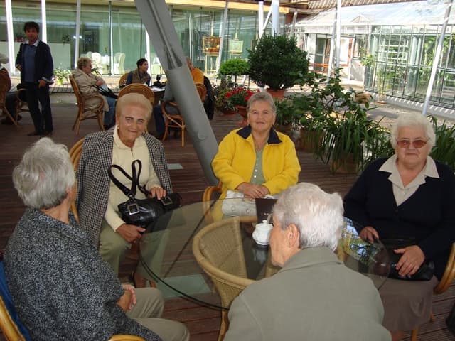 Zdjęcie 4 galerii z wydarzenia Podsumowanie Programu Integracji Społecznej 2009 rok