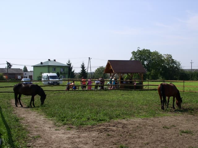 Zdjęcie 8 galerii z wydarzenia Realizacja Projektu ,,Uniwersytet Zmysłów”